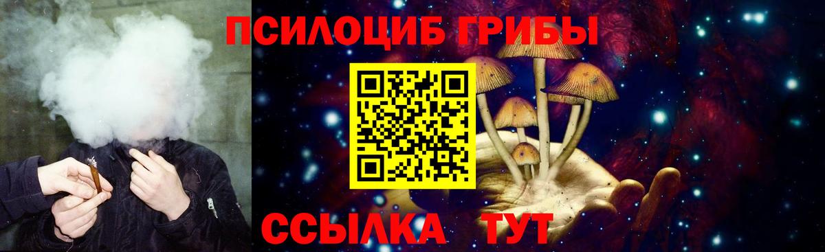 Фролово  закладка  Вход с VPN  Галлюциногенные грибы Magic Shrooms 